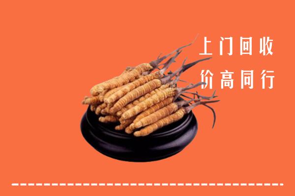 高价求购：哈密回收散虫草