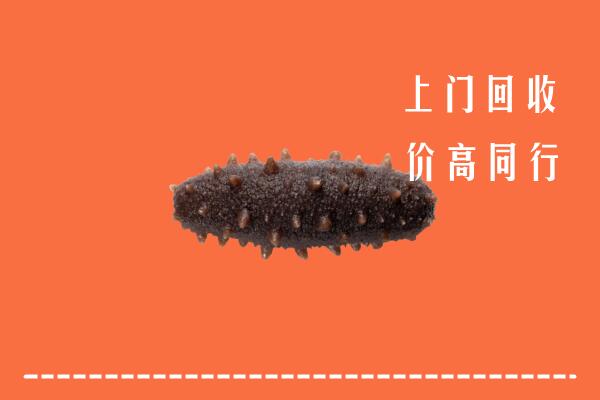 哈密高价回收海参