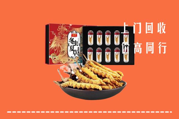 收购行情：哈密回收虫草